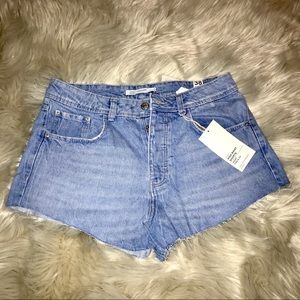 Zara High Waist Jean Shorts (Daisy Dukes)